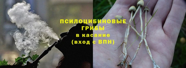стафф Алзамай