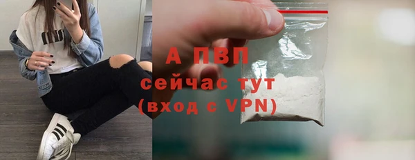 гашик Арсеньев