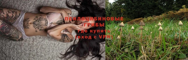 стаф Абинск