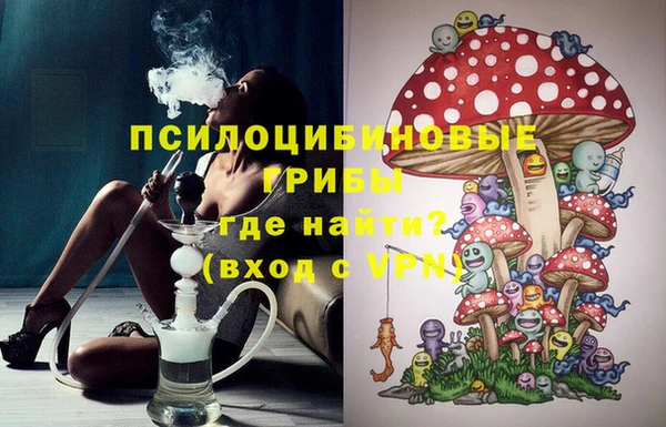 героин Алексин