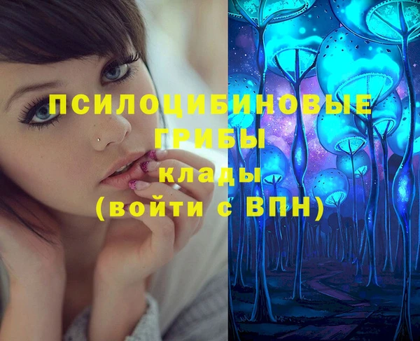 стафф Алзамай